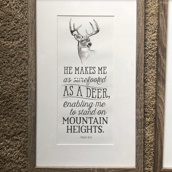 Set of pictures - Picture 2 of 3